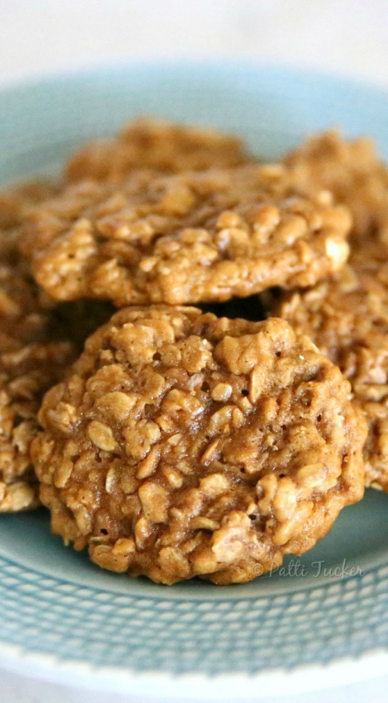 Coconut Palm Sugar Oatmeal Cookies