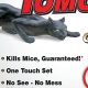 Mouse in the House? Get a Tomcat Mouse Trap.