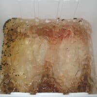 Easy Recipe to Brine a Turkey