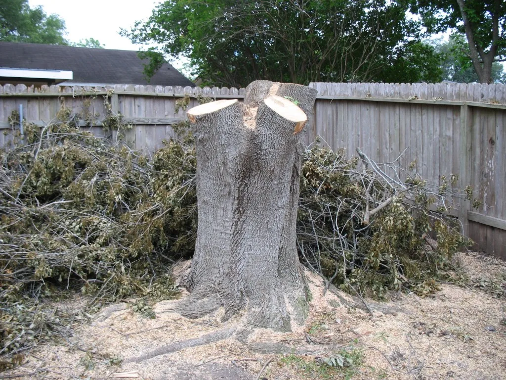 DIY Tree Stump Fire Pit Tutorial