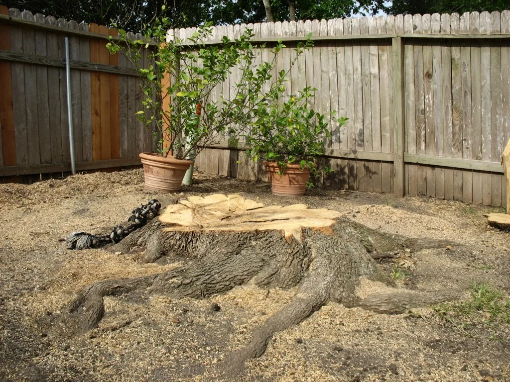 DIY Tree Stump Fire Pit Tutorial