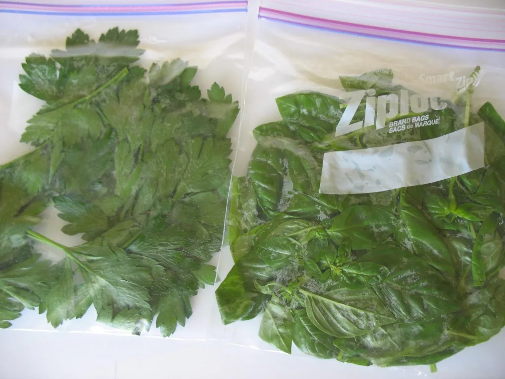 How-To: Freezing Fresh Herbs