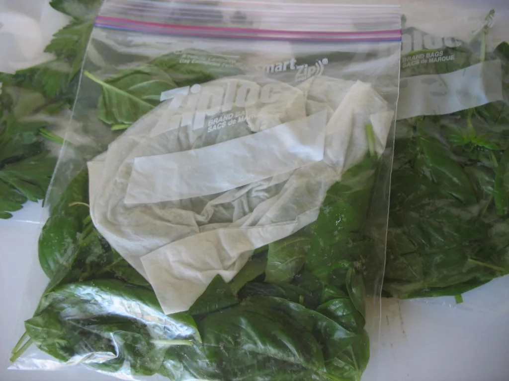 How-To: Freezing Fresh Herbs