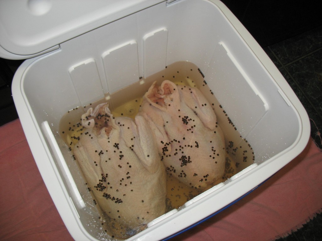 Brine a Turkey the Easy Way