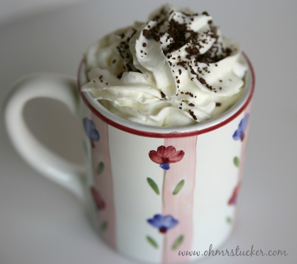 hot chocolate in mug with whipped cream