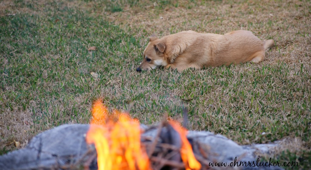 DIY Firepit Tutorial