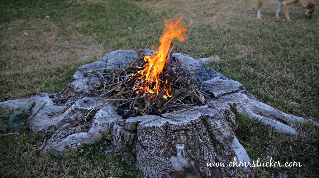 Tree stump discount fire pit seats