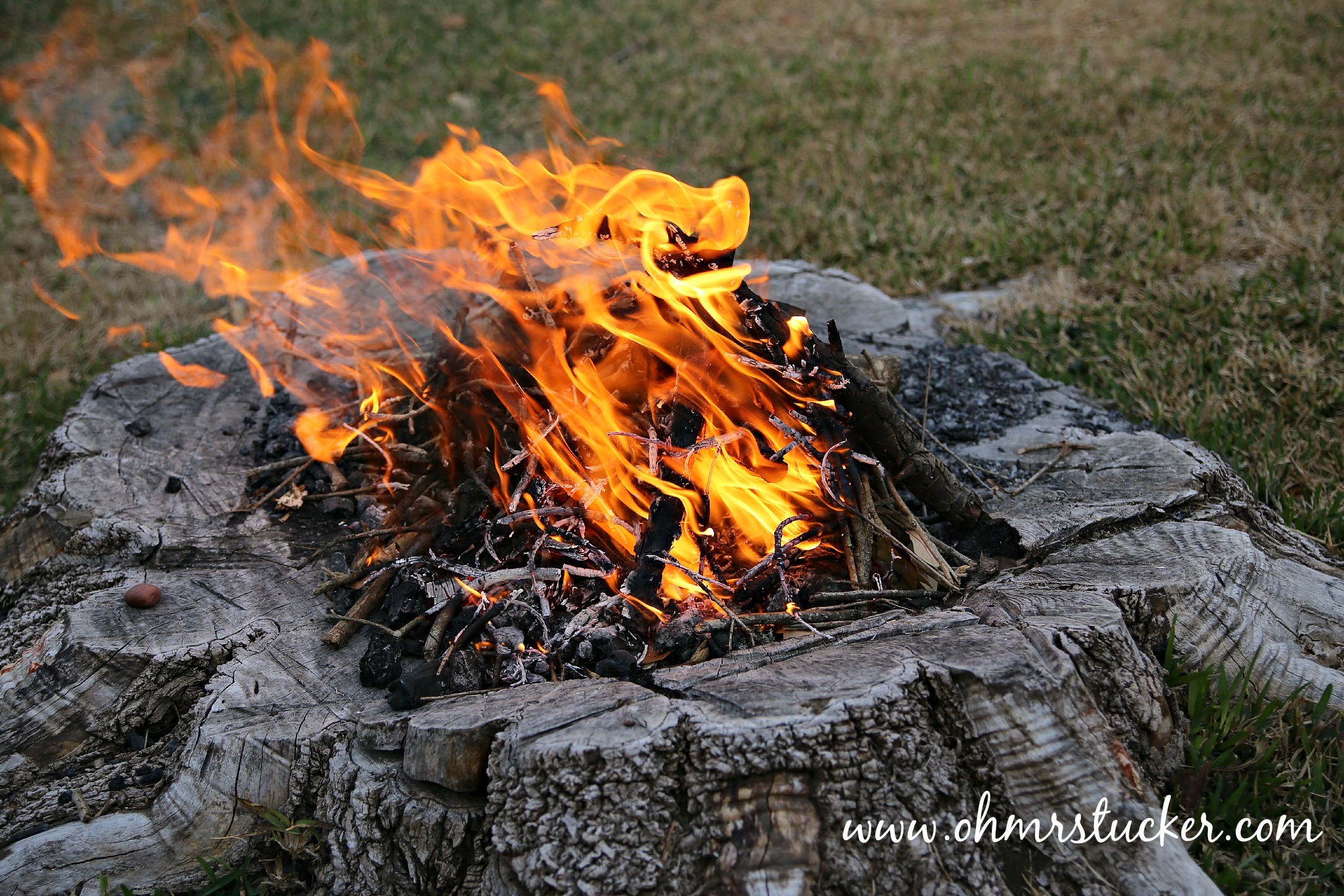 DIY Tree Stump Fire Pit Tutorial