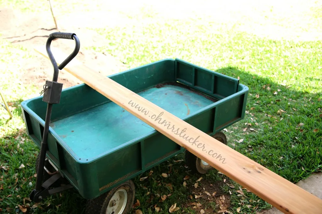 Building a Raised Cedar Bed