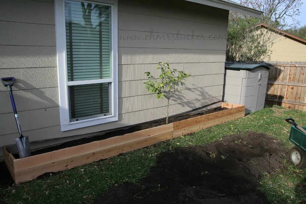 Building a Raised Cedar Bed