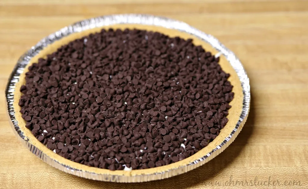 Easy Cheesecake Pie