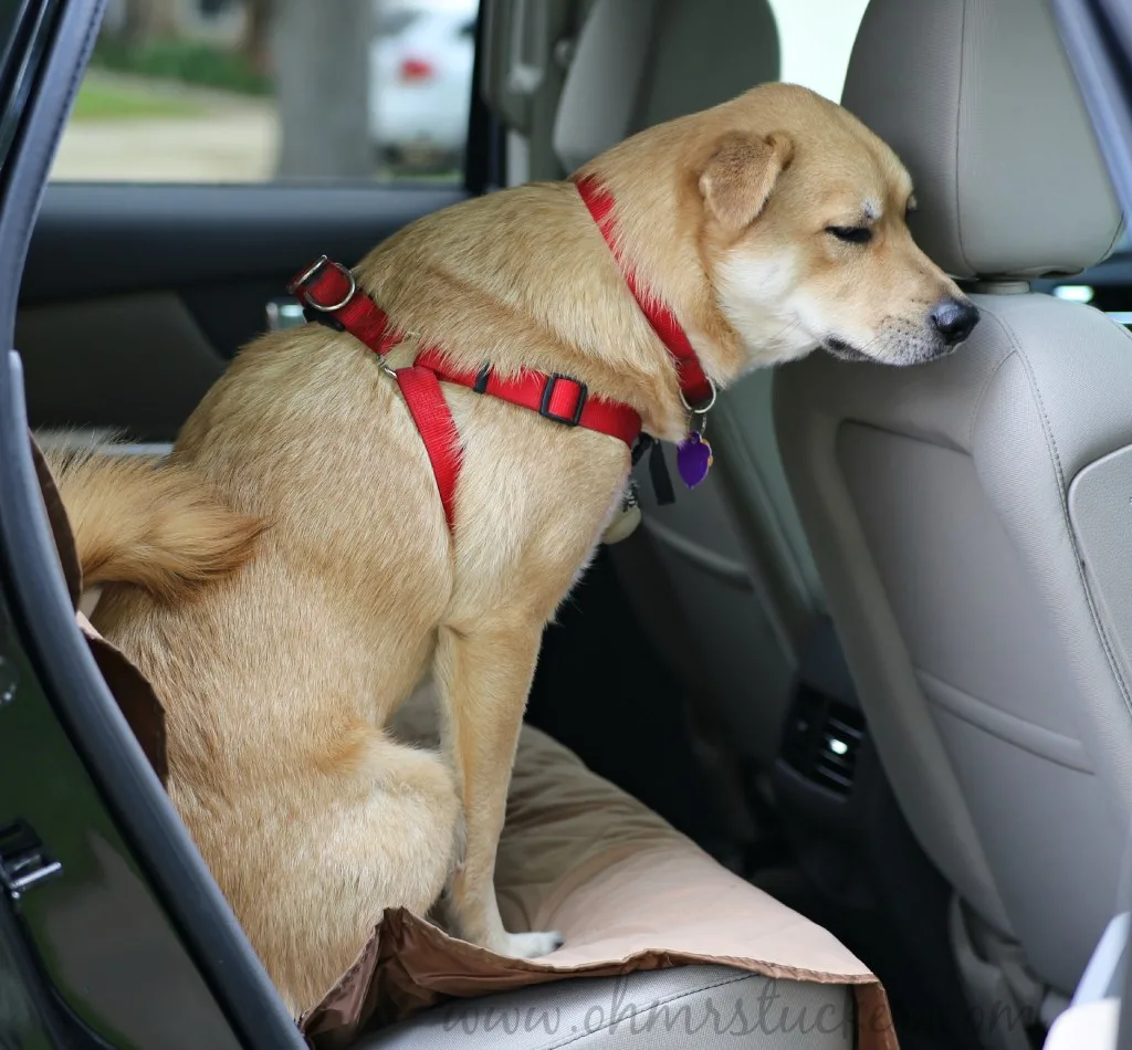 Pet Car Seat Cover