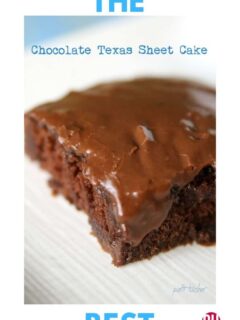 A cut piece of The Best Texas Chocolate Sheet Cake