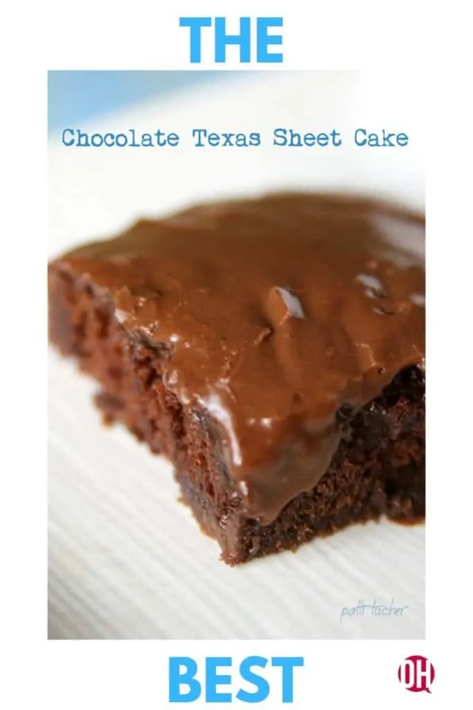 A cut piece of The Best Texas Chocolate Sheet Cake