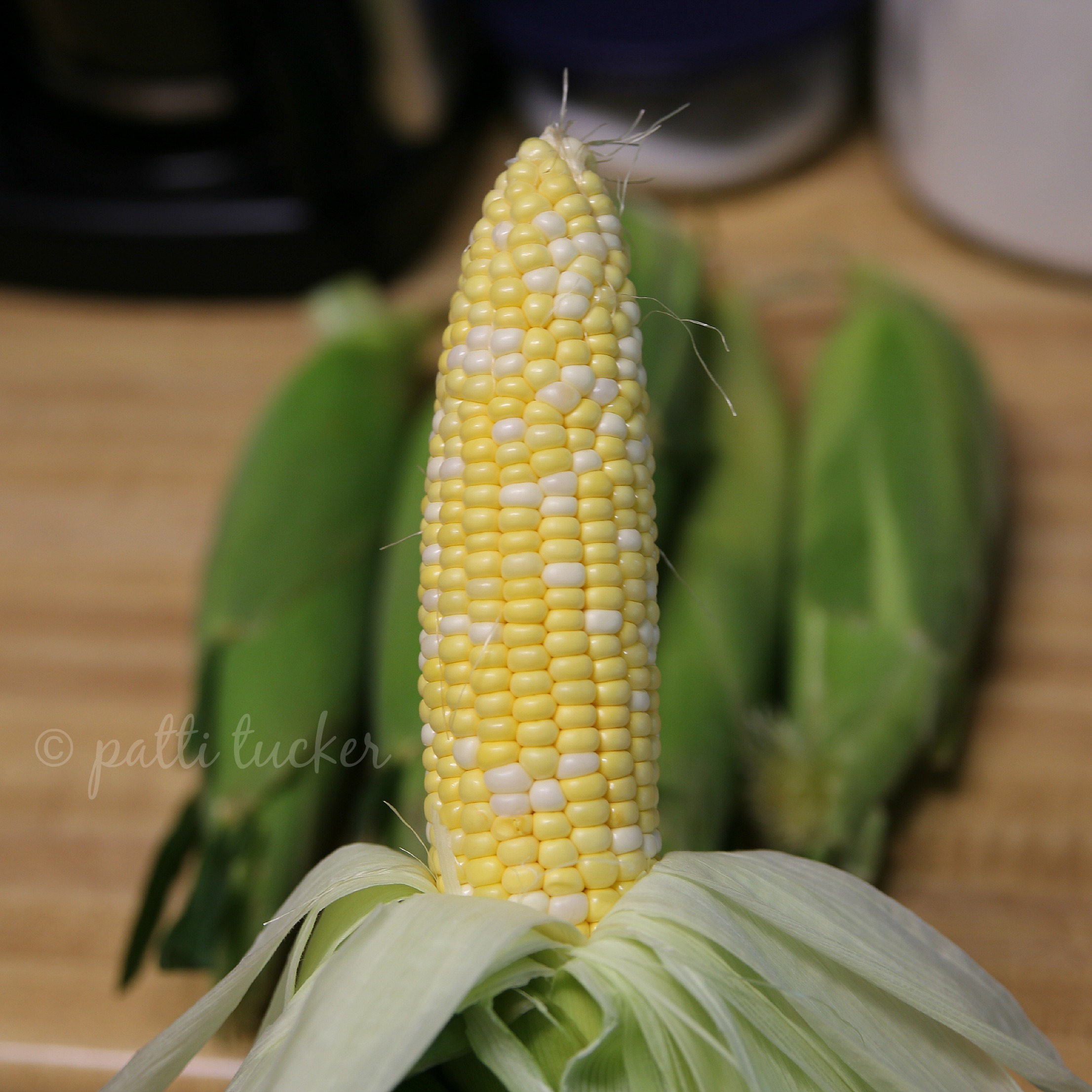 corn on cob with peeled back husk