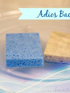 How to Eliminate 99.9% of Bacteria in Kitchen Sponges