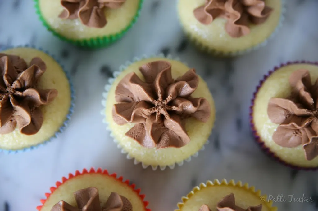 Buttermilk Cupcakes with Dark Chocolate Frosting