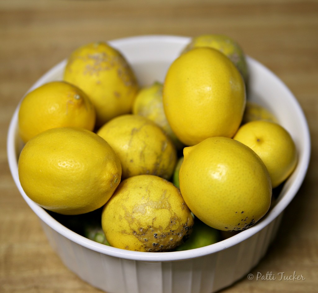 How To Preserve Lemon Juice