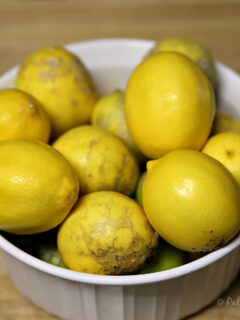 How To Preserve Lemon Juice