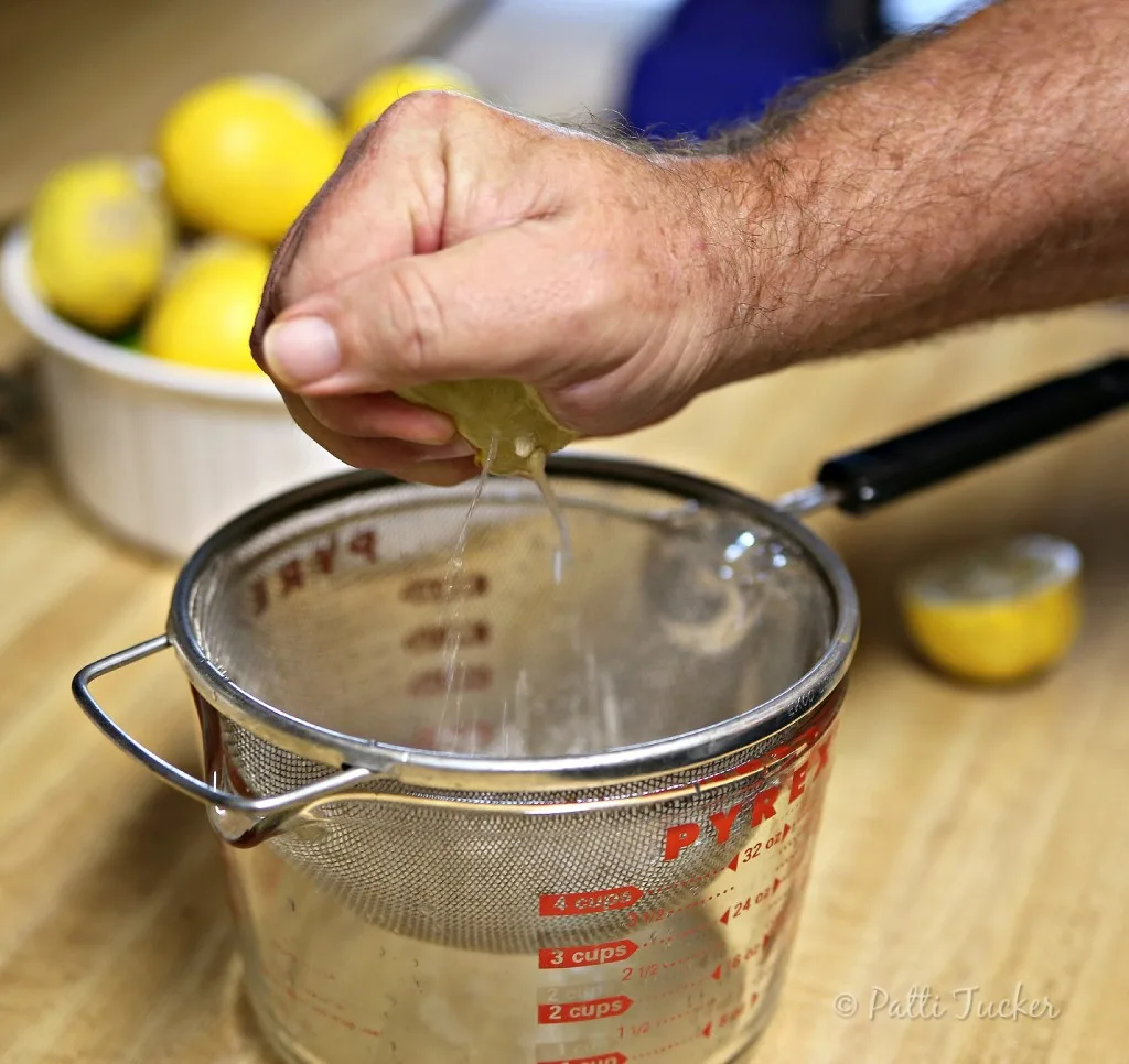 How To Preserve Lemon Juice