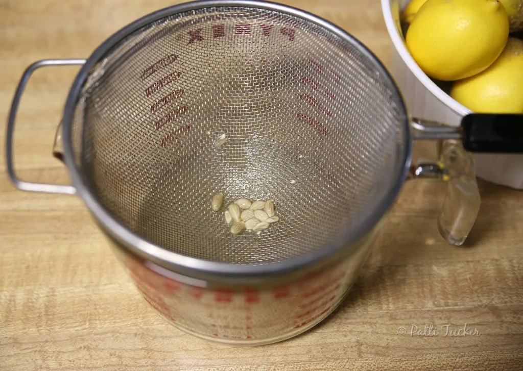 How To Preserve Lemon Juice