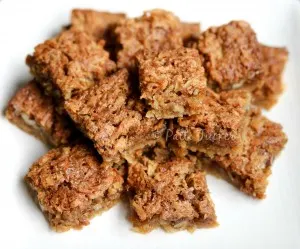 Pecan Coconut Dream Bars Against a white background