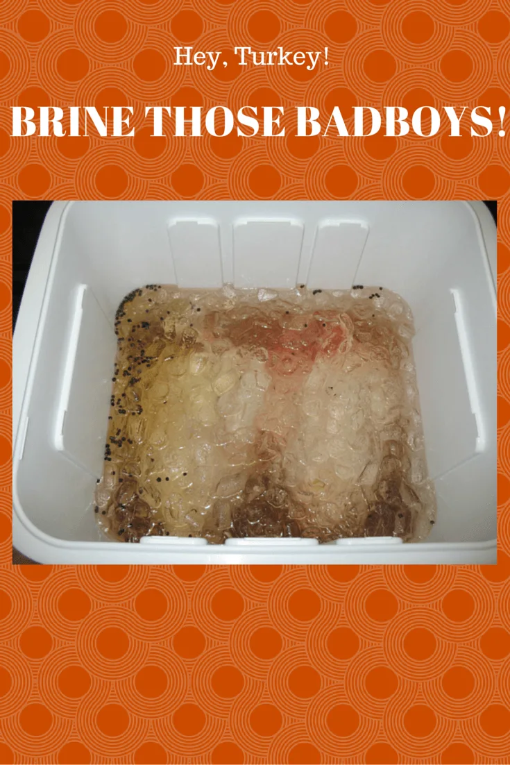 turkey in brining liquid resting in a cooler