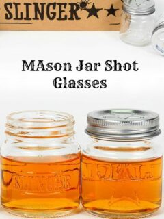 The Slinger Mason Jar Shot Glasses