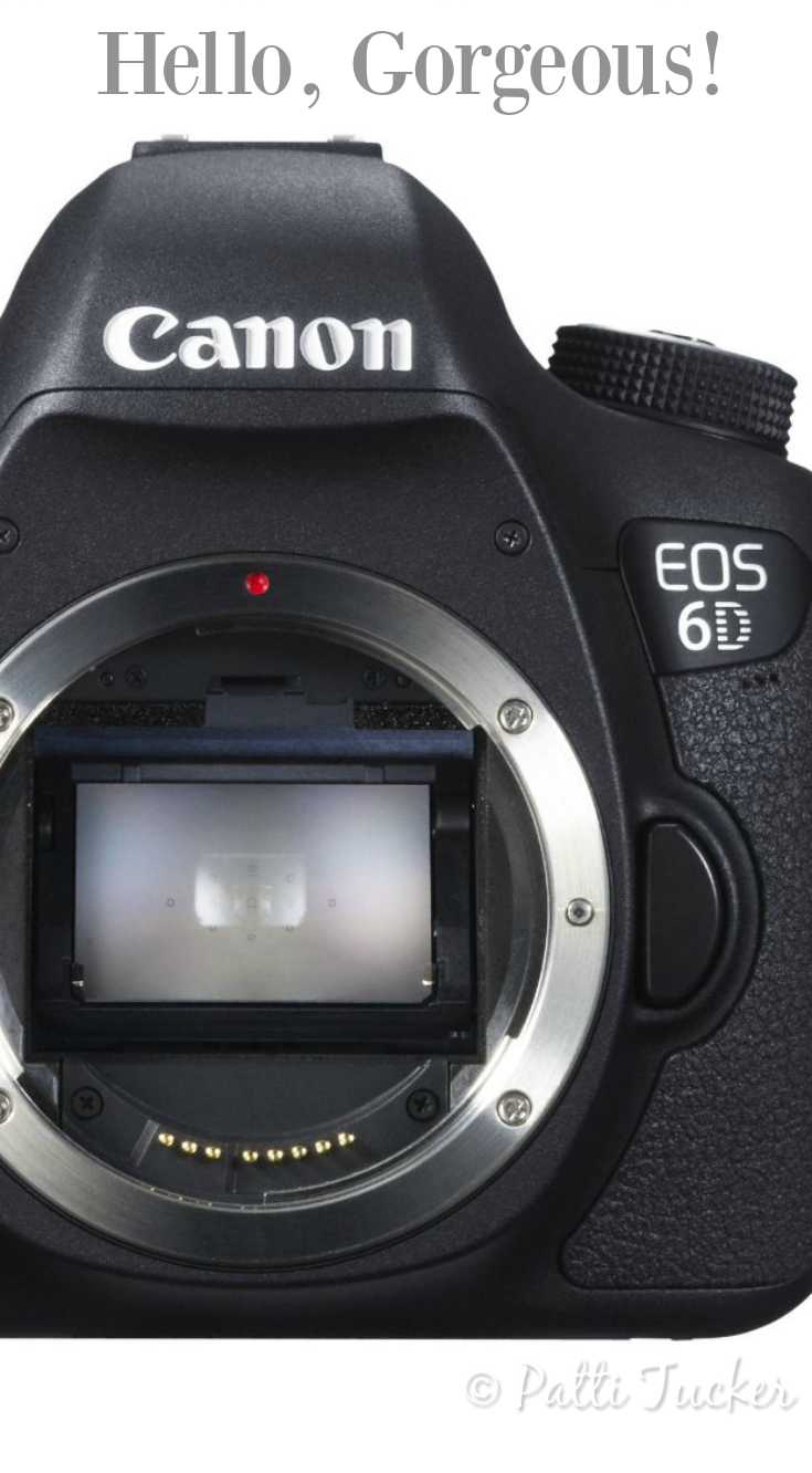 canon eos 6d camera body