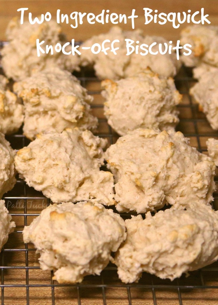 Two Ingredient Bisquick Knock-Off Biscuits