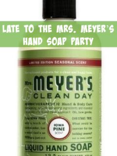 Late to the Mrs. Meyer’s Hand Soap Party