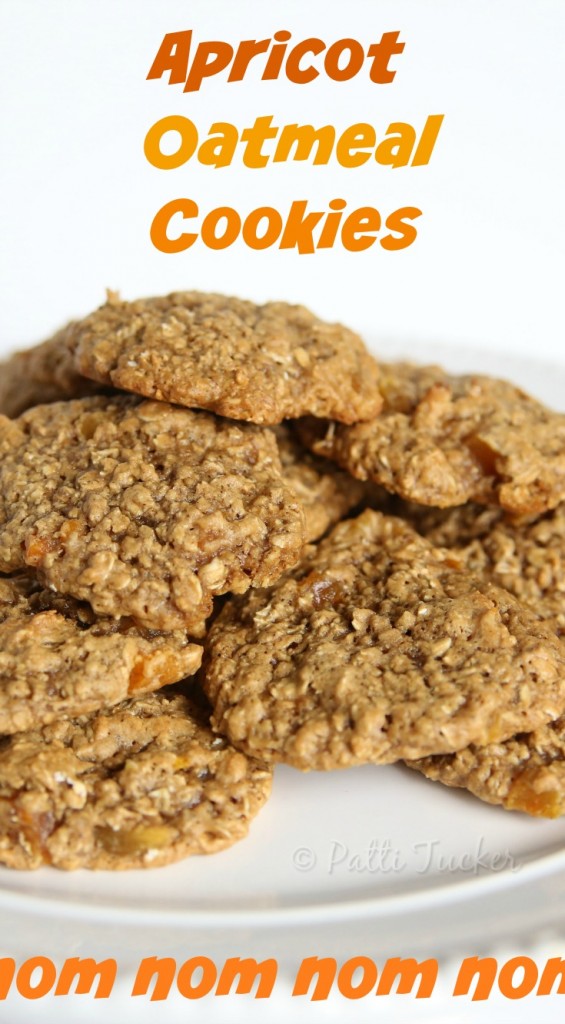 Perfect Oatmeal Cookies with Dried Apricots