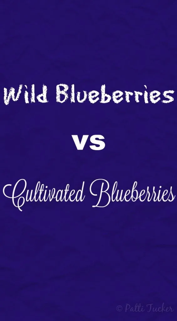 What I've Learned: Wild Blueberries vs Cultivated Blueberries