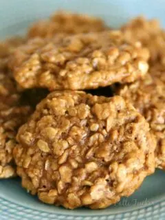Oatmeal Cookies on a blue plate