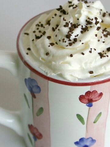 Hot Chocolate in a mug with whipped cream