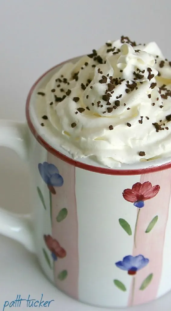 Hot Chocolate in a mug with whipped cream