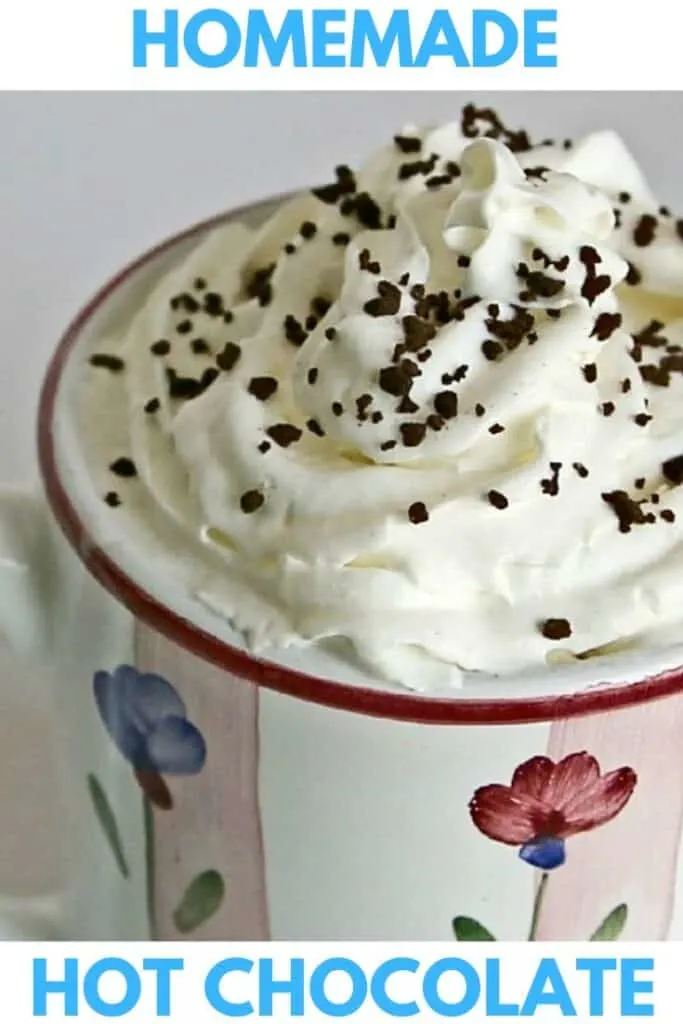 hot chocolate in a mug