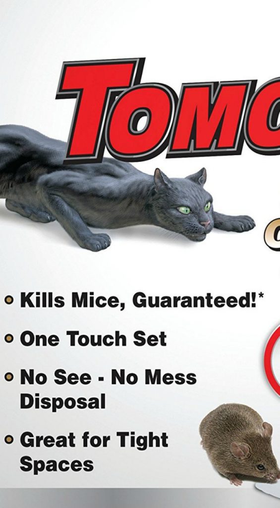 Mouse in the House? Get a Tomcat Mouse Trap.