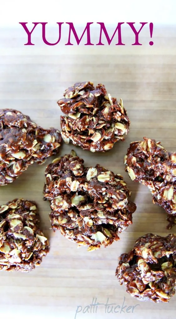 Best No-Bake Chocolate Cookies on a white background