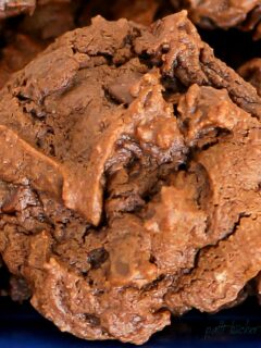 chocolate chocolate cookie