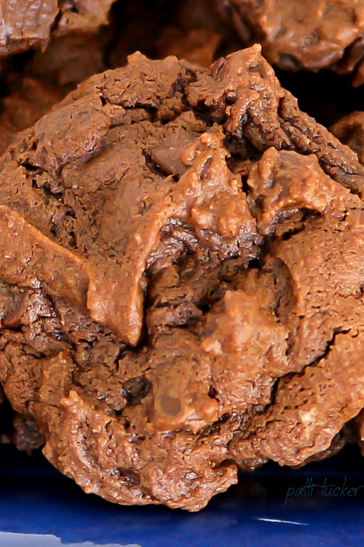 chocolate chocolate cookie