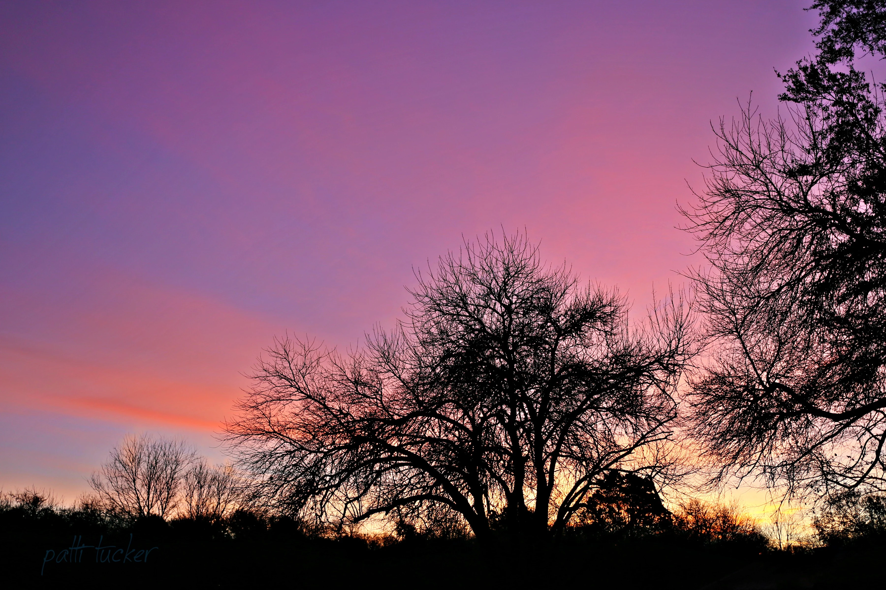 Have You Played with a Unique Pancake Today?