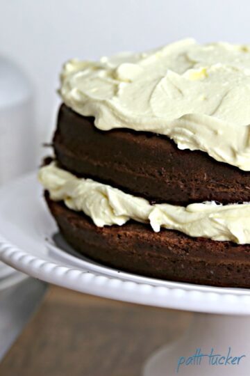 two layer cake on a stand