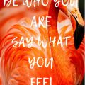 Time to Be Who You Are and Say What You Feel