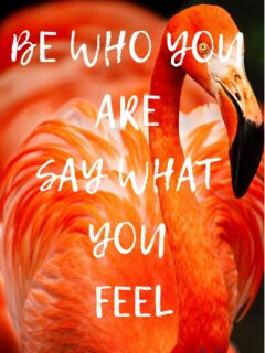 orange flamingo with text overlay: Be Who You Are and Say What You Feel Inspirational quote