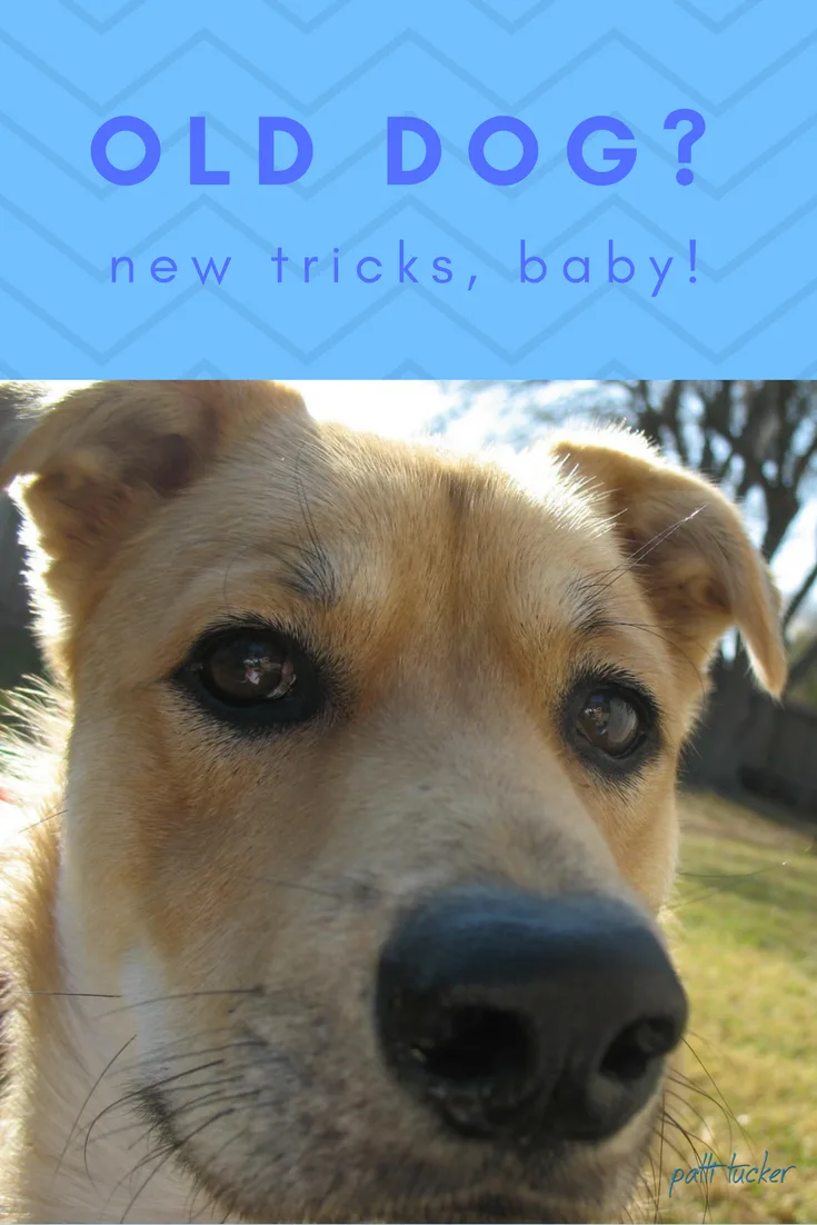 Do You Feel You Have More to Offer?