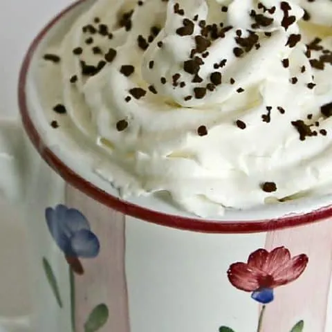 hot chocolate in a mug with whipped cream