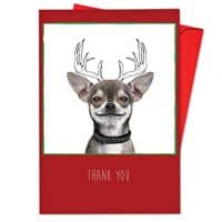 12 ‘Dogs & Doodles Thank You’ Blank Boxed Christmas Cards with Envelopes 4.75 x 6.625 Inch, Puppy Illustrations Holiday Notes, Christmas Doggy with Santa Hat in Black & White Sketches Cards B6582CXTB