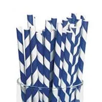 Fun Express Blue Striped Paper Straws - 24 Piece Pack