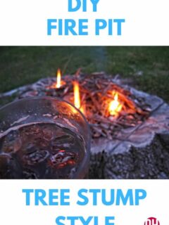 tree stump fire pit graphics